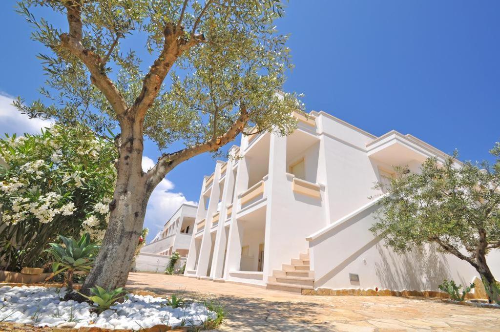 Apartment Punta Pizzo
